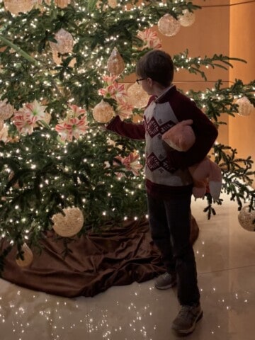 Boy with a stuffed animal under his arm, looks at a decorated Christmas Tree