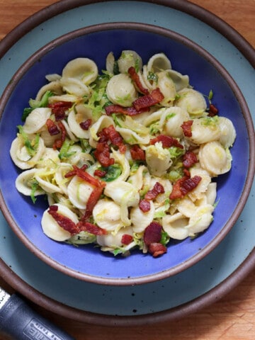 Orrechiette pasta with bacon and Brussels sprouts in a lapis blue bowl on a light blue plate.