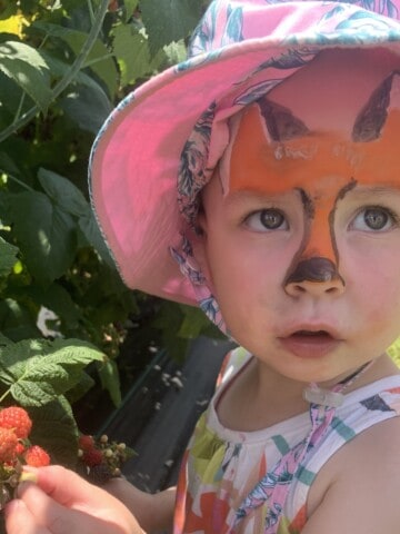 Girl with a pink sun hat and face paint that resembles a fox, picks raspberries.
