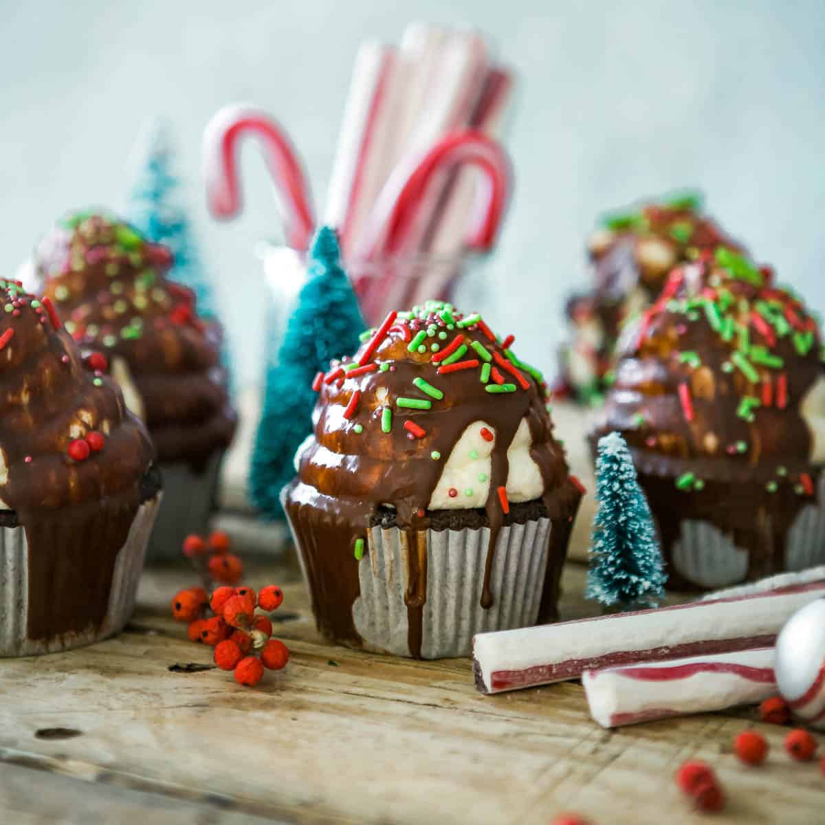 Cupcakes covered with chocolate frosting and red and green sprinkles and candy canes in the background.