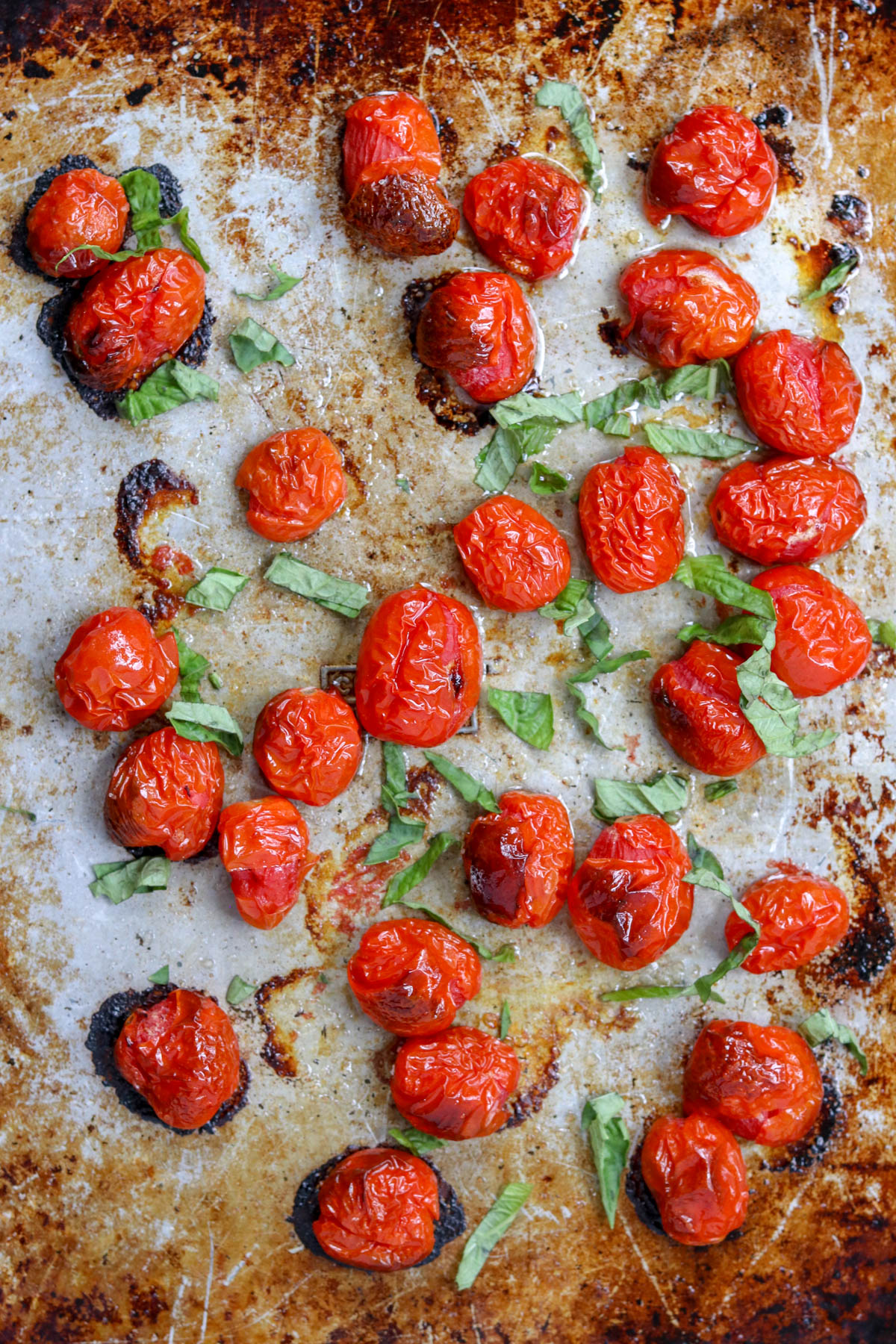 A veggie side of roasted cherry tomatoes scattered on a rustic, weathered baking sheet. Some fresh basil leaves are sprinkled among the caramelized tomatoes, enhancing the vibrant red and green colors against the browned background.